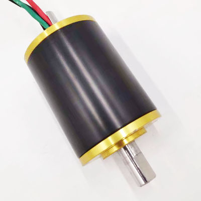 36mm Underwater Brushless Motor DC pemasok
